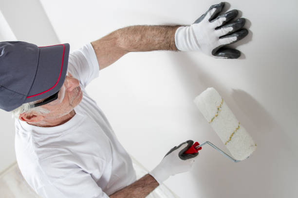 Best HVAC Mold Inspection and Cleaning  in Belle Fourche, SD