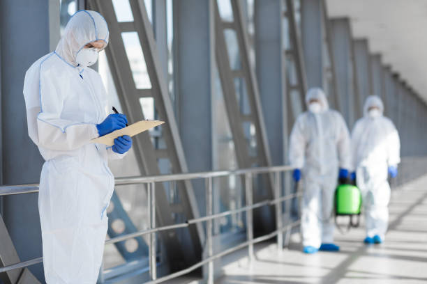 Best Dehumidification Services  in Belle Fourche, SD