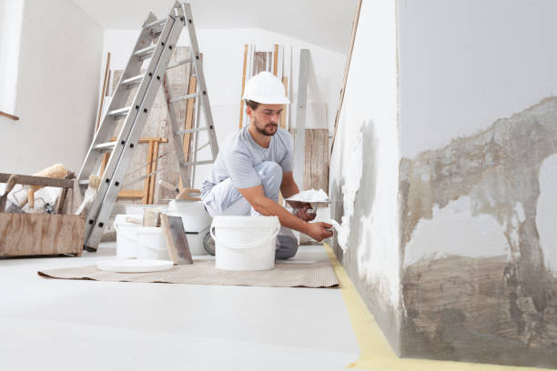 Best Mold Documentation for Insurance Claims  in Belle Fourche, SD