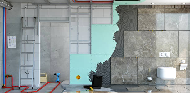 Best Attic Mold Removal  in Belle Fourche, SD