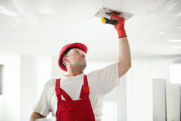 Best Environmental Consulting for Mold Prevention  in Belle Fourche, SD