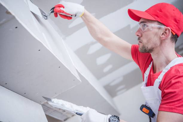 Best Emergency Mold Remediation  in Belle Fourche, SD