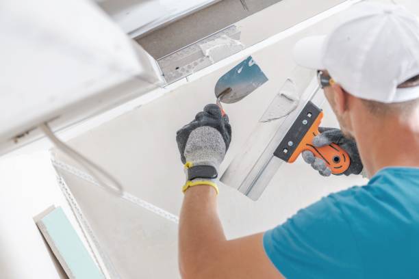 Best Mold Prevention Services  in Belle Fourche, SD
